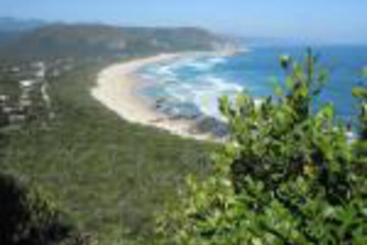 Forest Drive Holiday Home - thumb 0