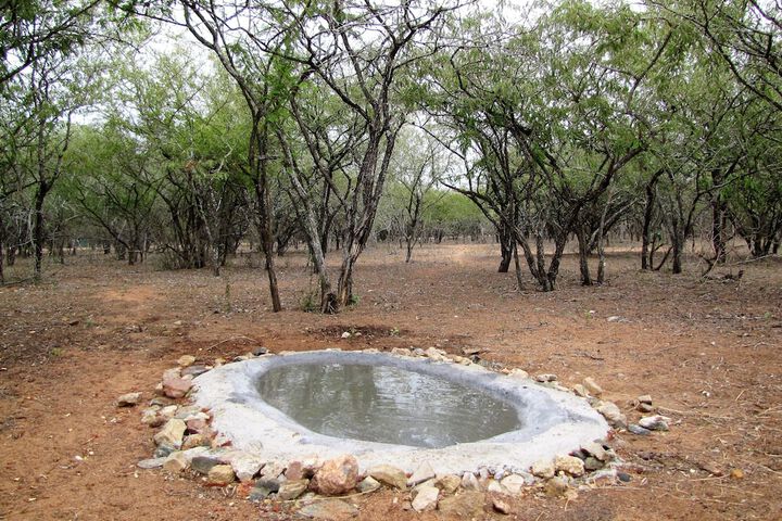 Umvangazi Rest - Enjoy A Relaxing, Rejuvenating And Peaceful Setting In The Bush - thumb 3