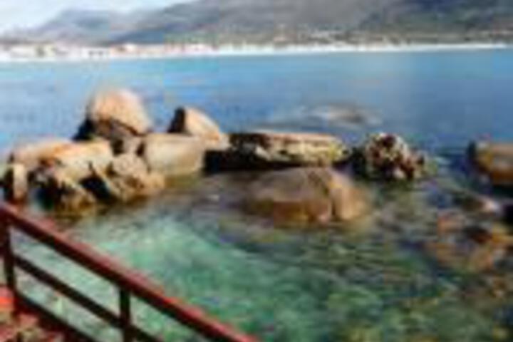 On The Rocks - thumb 0