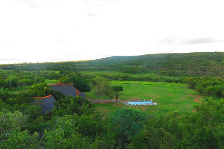 Zebras Crossing Very Private G - thumb 2