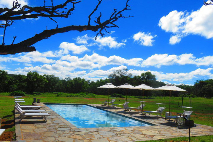 Zebras Crossing Very Private G - thumb 3