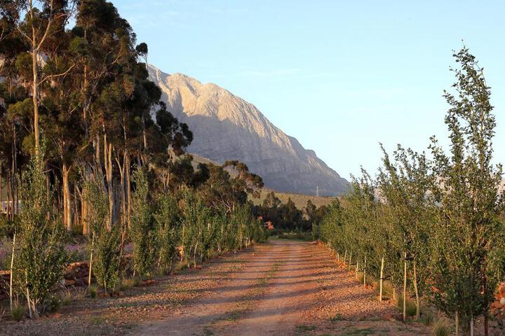 Eikehof Farm - thumb 2