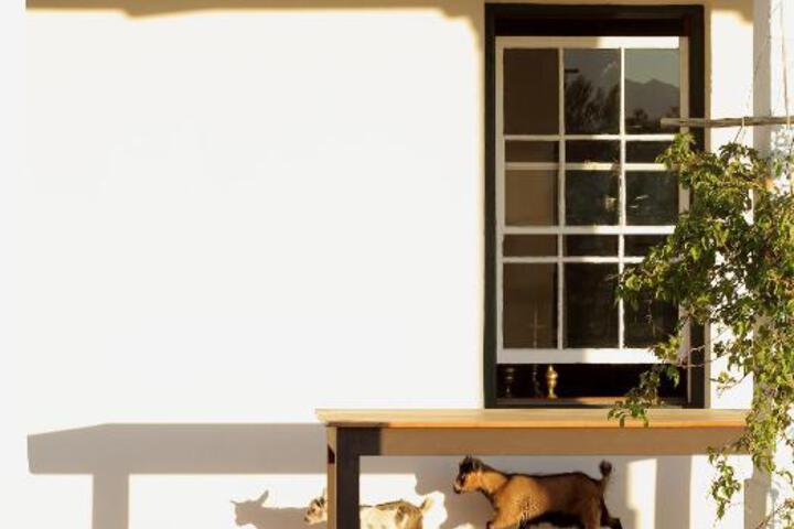 Eikehof Farm - thumb 5