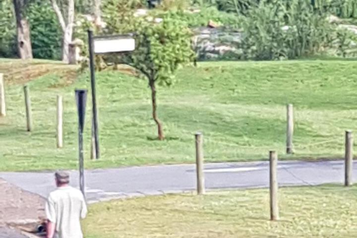 Roamers Rest - thumb 4