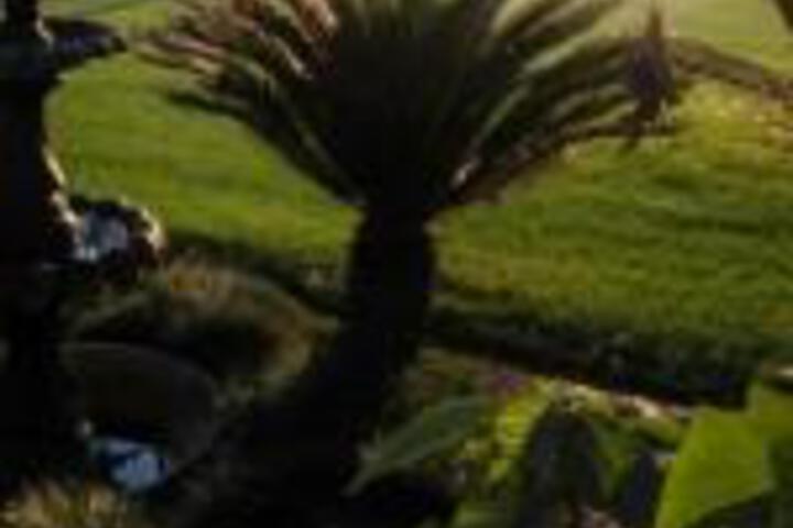Newcastle Country Lodge - thumb 0