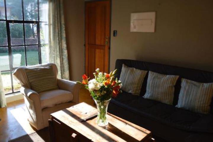 Rocks & Daisies - thumb 6