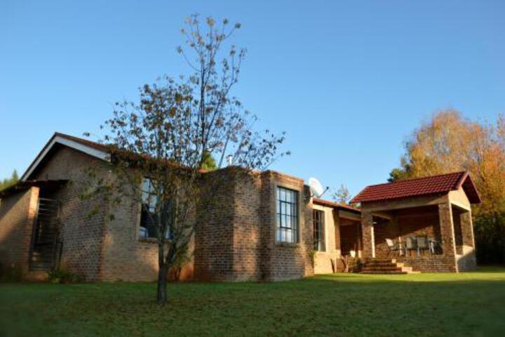 Rocks & Daisies - thumb 0