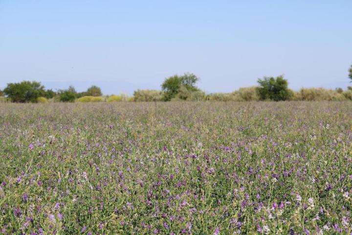 Grysbok Self Catering Accommodation - thumb 2