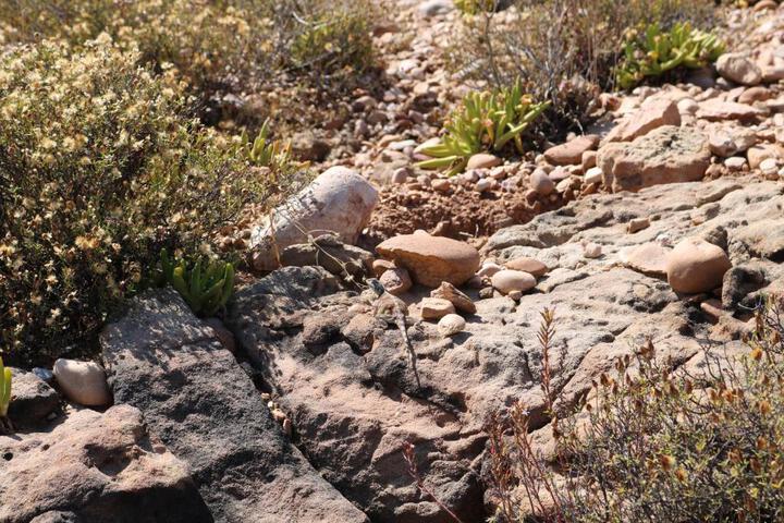 Grysbok Self Catering Accommodation - thumb 4