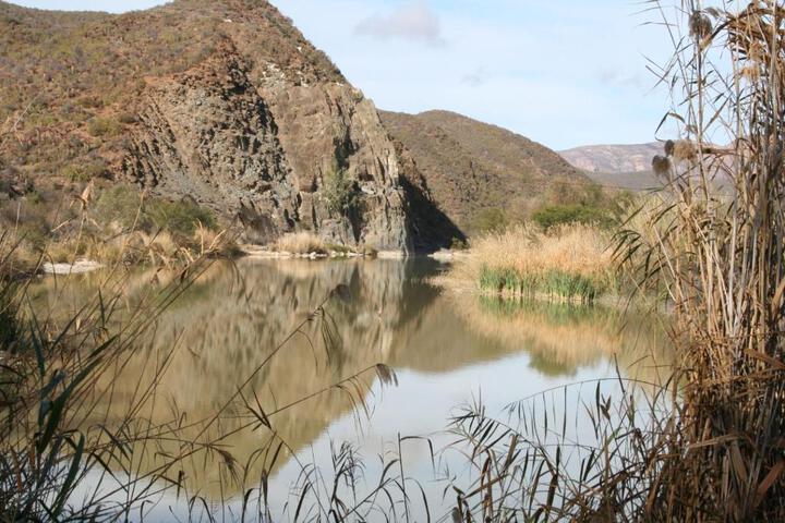 Matjiesvlei Retreat Swartskaap / Blacksheep - thumb 4