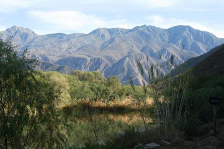 Matjiesvlei Retreat Swartskaap / Blacksheep - thumb 2