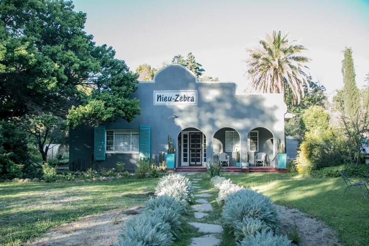 Nieu Zebra - thumb 6