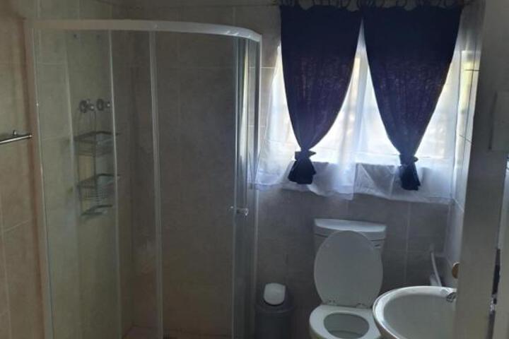 Nieu Zebra - thumb 4