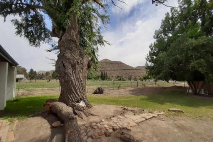 Quince & Cottage - thumb 4