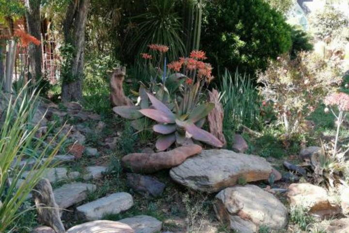 Lucolo Palace B & B Aliwal North - thumb 4