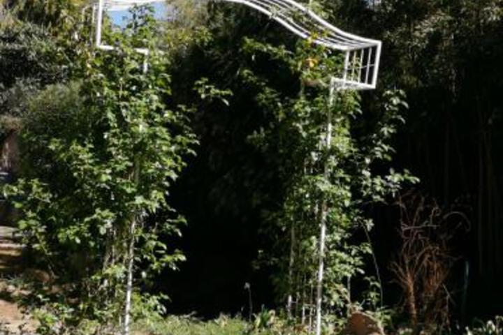 Lucolo Palace B & B Aliwal North - thumb 3