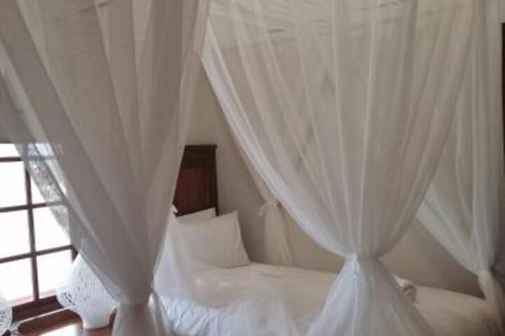 Kransfontein - thumb 6