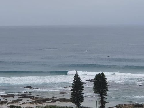 Admirals View B & B - thumb 6