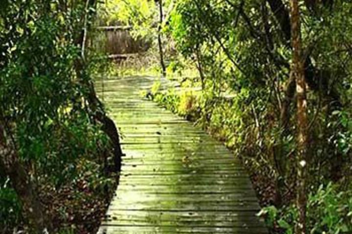 Makhasa Game Lodge - thumb 5