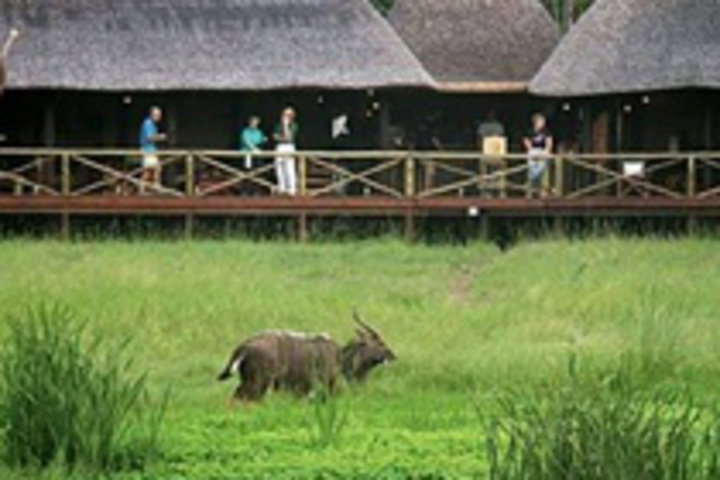 Makhasa Game Lodge - thumb 0