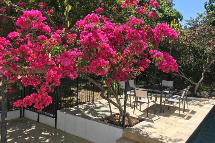 Villa Honeysuckle Luxury 4 Bedroom - thumb 4