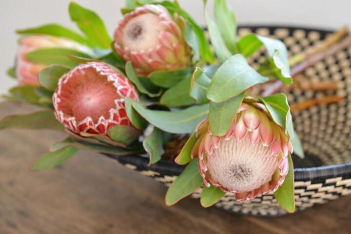 Villa Honeysuckle Luxury 4 Bedroom - thumb 7