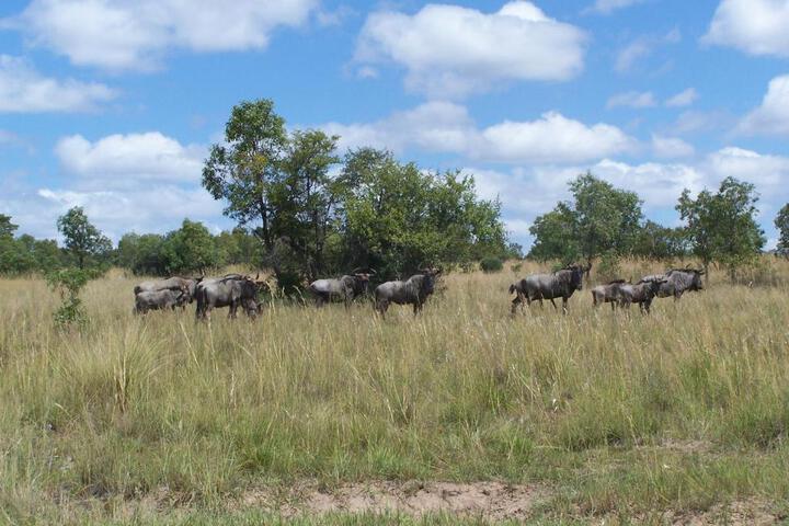 Pumula Lodge - thumb 6