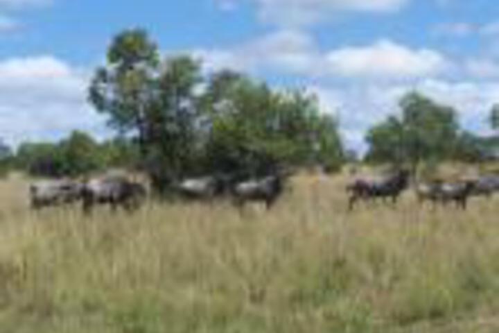 Pumula Lodge - thumb 0