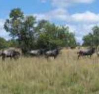 Pumula Lodge - Accommodation Africa