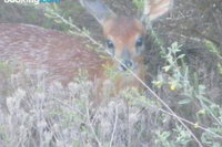 Lodge 97 Pinnacle Point Estate