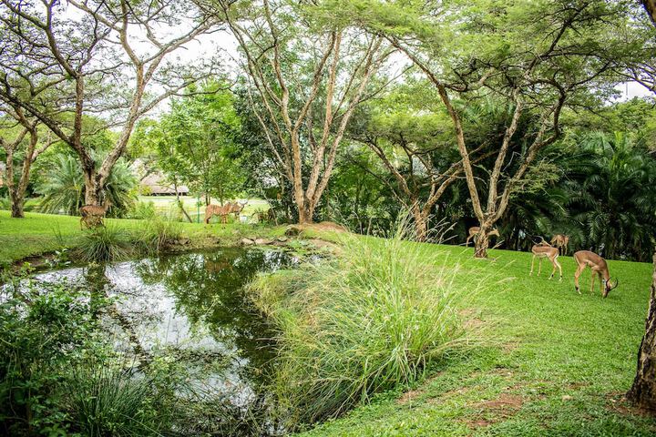 Inyamatane 227B Kruger Park Lodge - thumb 6