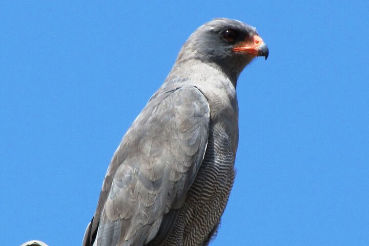 Umvangazi Rest Enjoy A Relaxing Rejuvenating & Peaceful Setting In The Bush - thumb 0