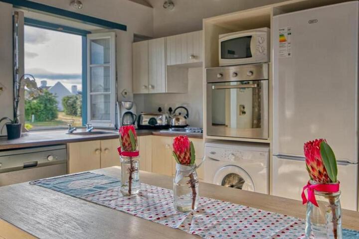 South 2 Sea - thumb 3