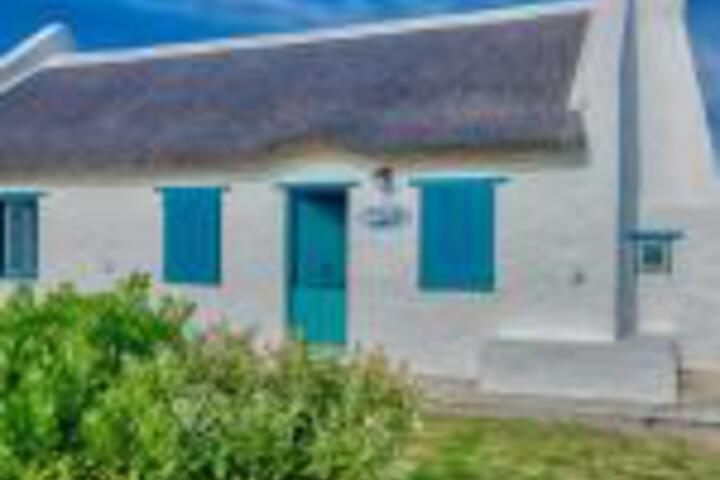 South 2 Sea - thumb 0