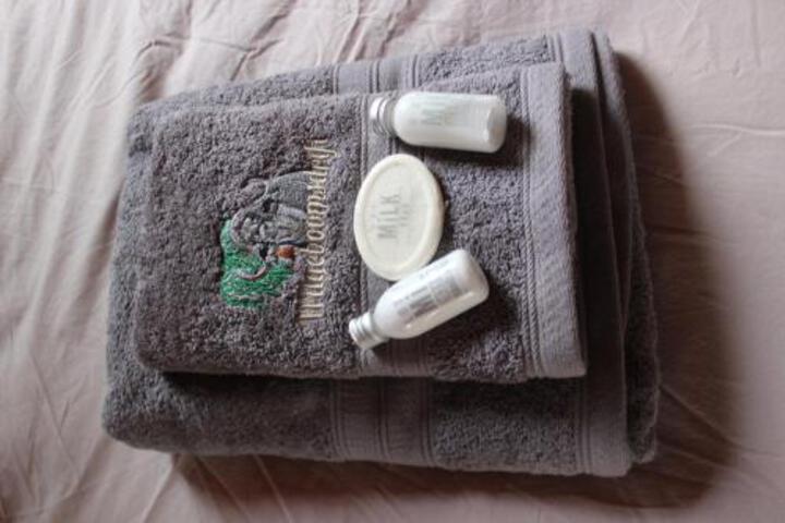 Wilgeboomsdrift Safaris - thumb 6