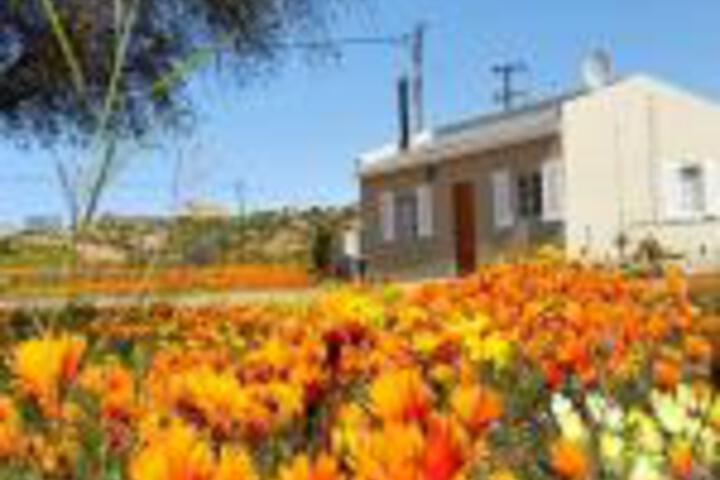 Kamieskroon Cosy Cottage - thumb 0