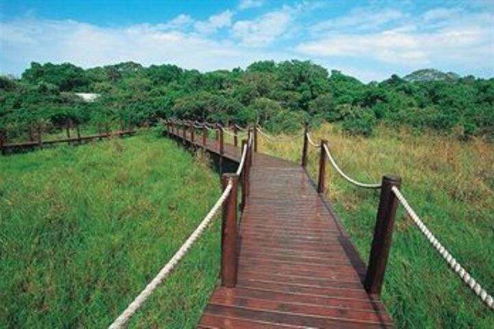 Makakatana Bay Lodge - thumb 4