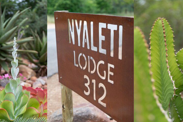 Nyaleti Lodge - thumb 3
