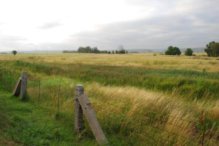 Lala Nathi Country Guesthouse - thumb 4