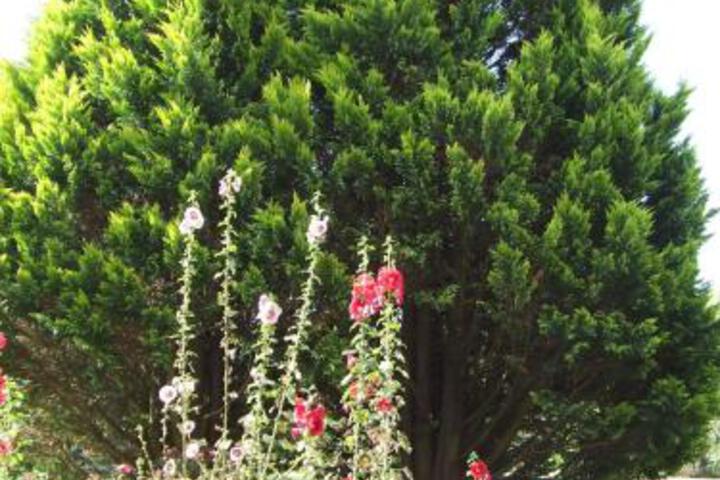 Lala Nathi Country Guesthouse - thumb 7