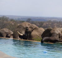 Mbizi Bush Lodge - Accommodation Africa