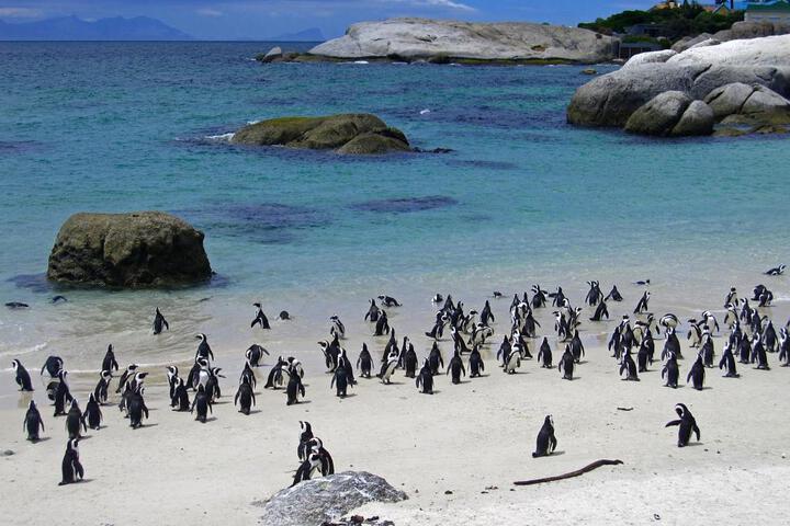 Roman Rock Apartments - thumb 6