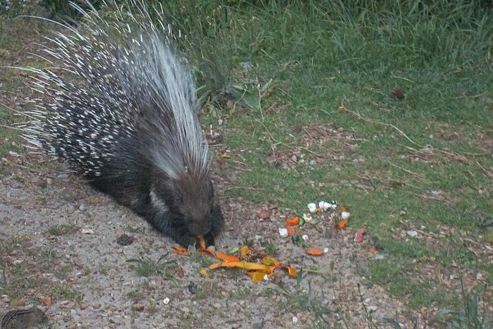 Roman Rock Apartments - thumb 1