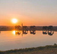 Jabulani Safari - Accommodation Africa