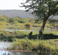 Orchards Farm Cottages - Accommodation Africa
