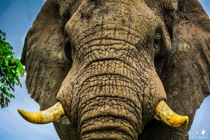 AmaZulu Lodge - thumb 6