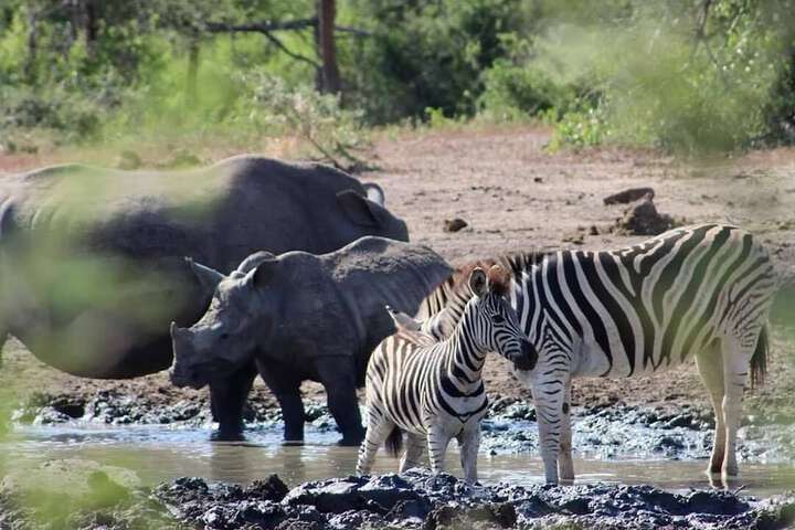 AmaZulu Lodge - thumb 1