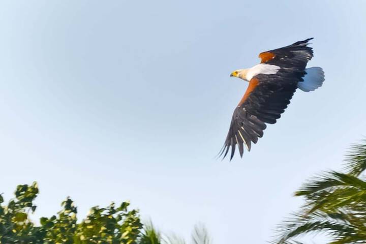 AmaZulu Lodge - thumb 7