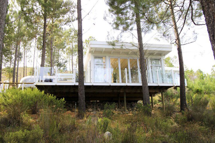 Old Mac Daddy - Campground - thumb 4