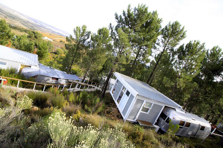 Old Mac Daddy - Campground - thumb 7